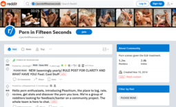 Porn In Fifteen Seconds
