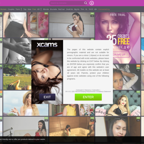 Xcams